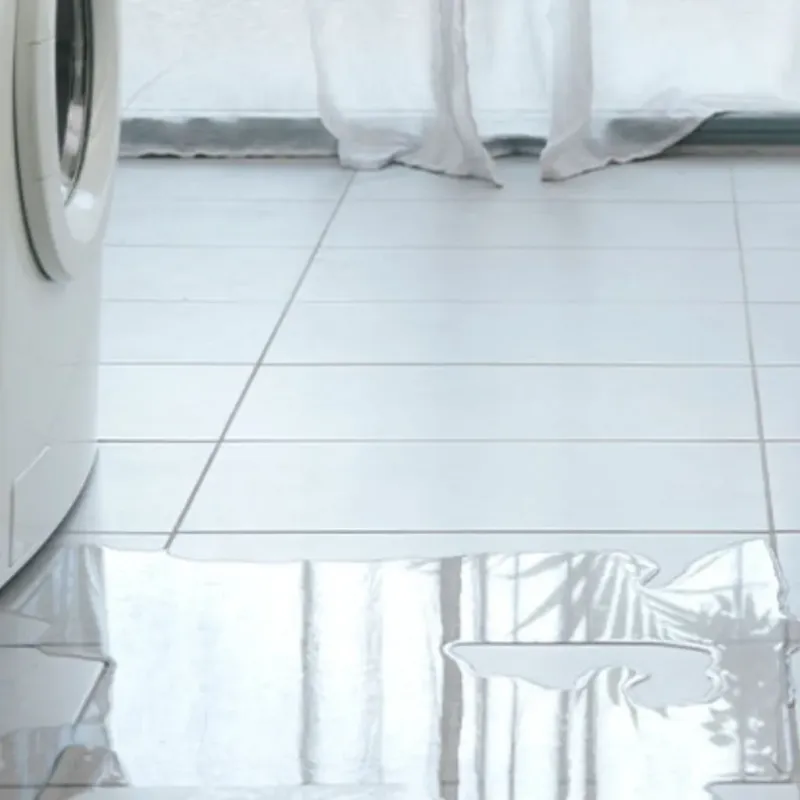 Appliance Leak Cleanup in Erwin, TN