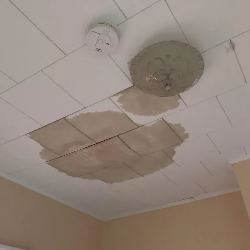 Ceiling Water Damage Repair in Erwin, TN