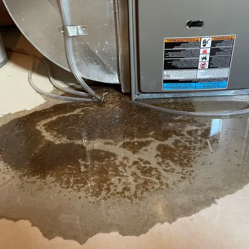 Pipe Burst and Leak Restoration in Erwin, TN
