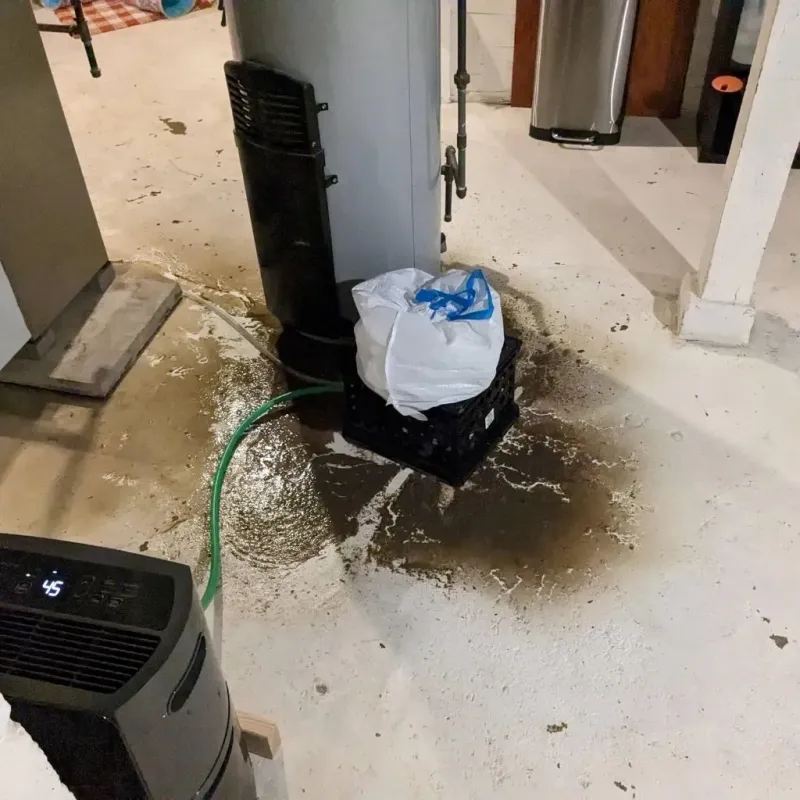 Sewage Backup Cleanup Service in Erwin, TN